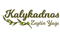 Çalışma Yüzeyi 1 kopya 13